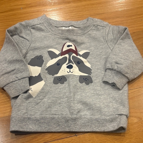 Carter's Other - Carter's Gray Sweatshirt with Raccoon Design